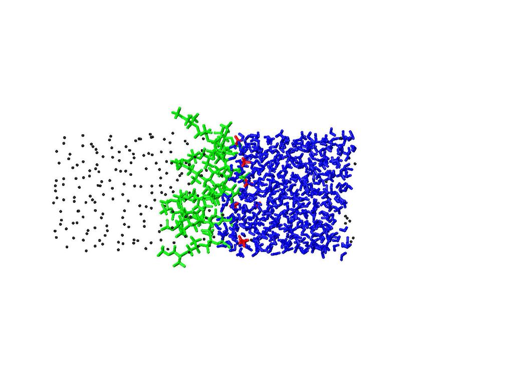 Figure 3.2: Snapshot of PFPE monolayer simulation at t=15 ns. Blue particles are water molecules, green ones are surfactant molecules, red ones are NH 4 + cations, and black ones are CO 2 molecules.