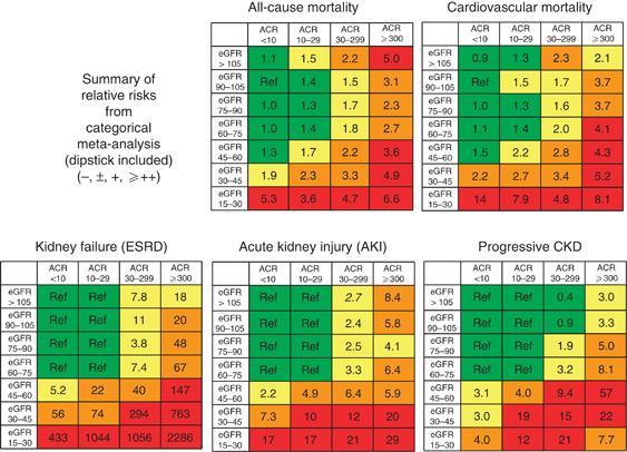 Heat Maps of Risk in CKD patients