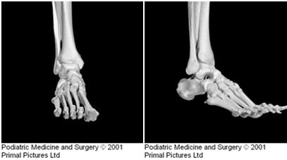 Rehabilitation Considerations Following Ankle Fracture: Impact on Gait & Closed Kinetic Chain