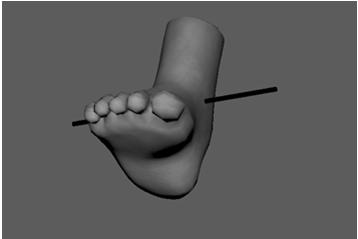 Analysis: Ankle Gait Cycle Analysis: Ankle Loading Response: Slight DF due to anterior tibialis working in swing phase for clearance Plantarflexion (passive) GRF vertical on heel