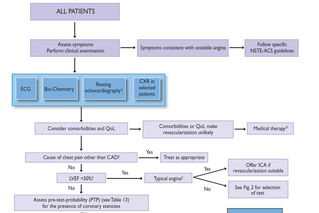 Initial diagnostic management of patients with suspected SCAD (1) a.