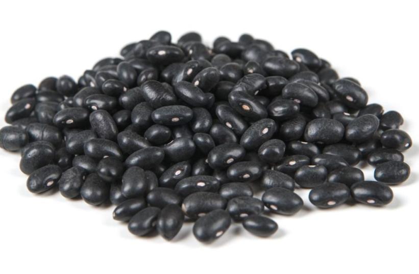Module #1b Food Applications Black Beans PHHI studied the antioxidant compound in black beans for their ability to reduce inflammatory markers linked with cancer cells.