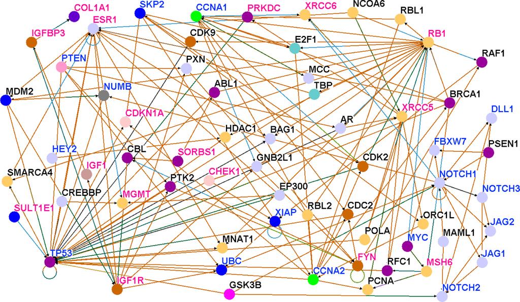 Hicks et al identified using gene expression data derived from the Asian population and the set of genes involved in the Notch signaling pathway.