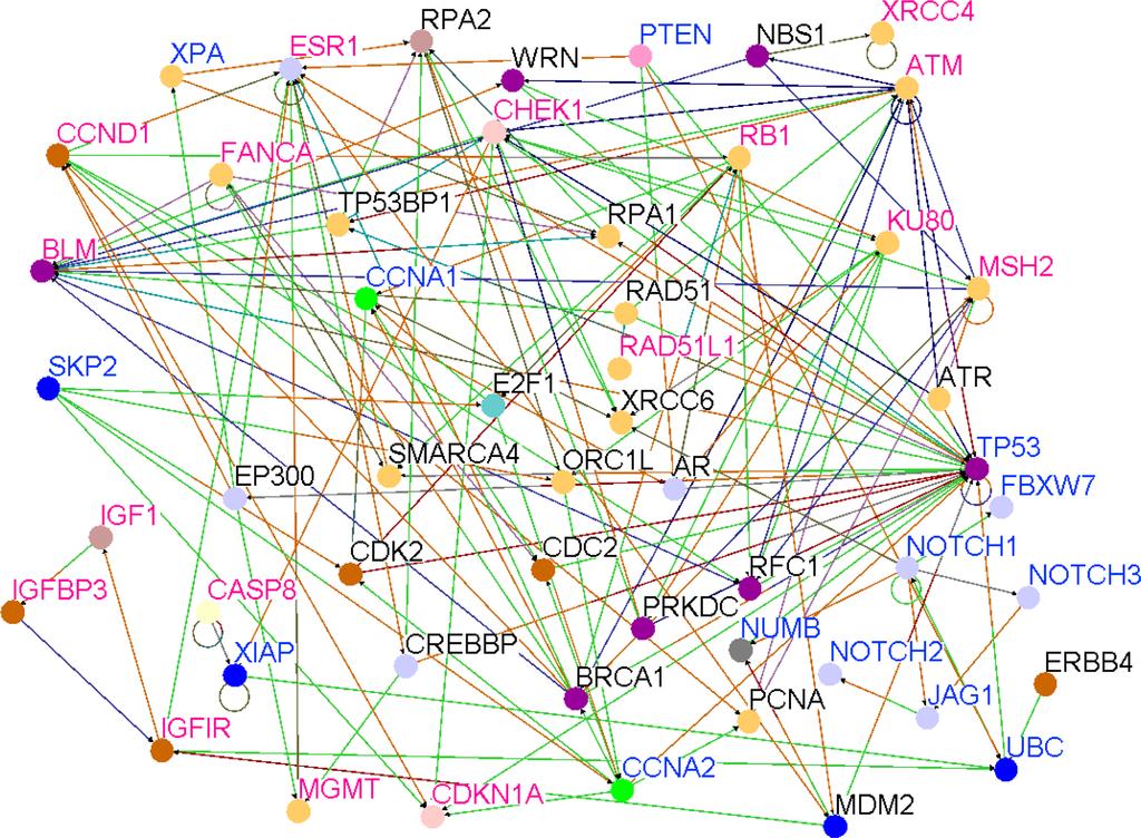 Association of GWAS information with the Notch signaling pathway yet another confirmation of association between the Notch signaling pathway and candidate genes.