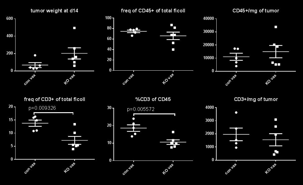 23, d14 B16 tumors from GVAX treated KO mice did not show an alteration in the frequency of CD45+ cells in single cell suspensions of tumors.