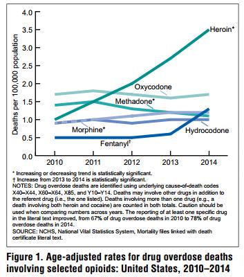 Overdose Deaths Conclusion: Rising rate of overdose deaths is driven largely by