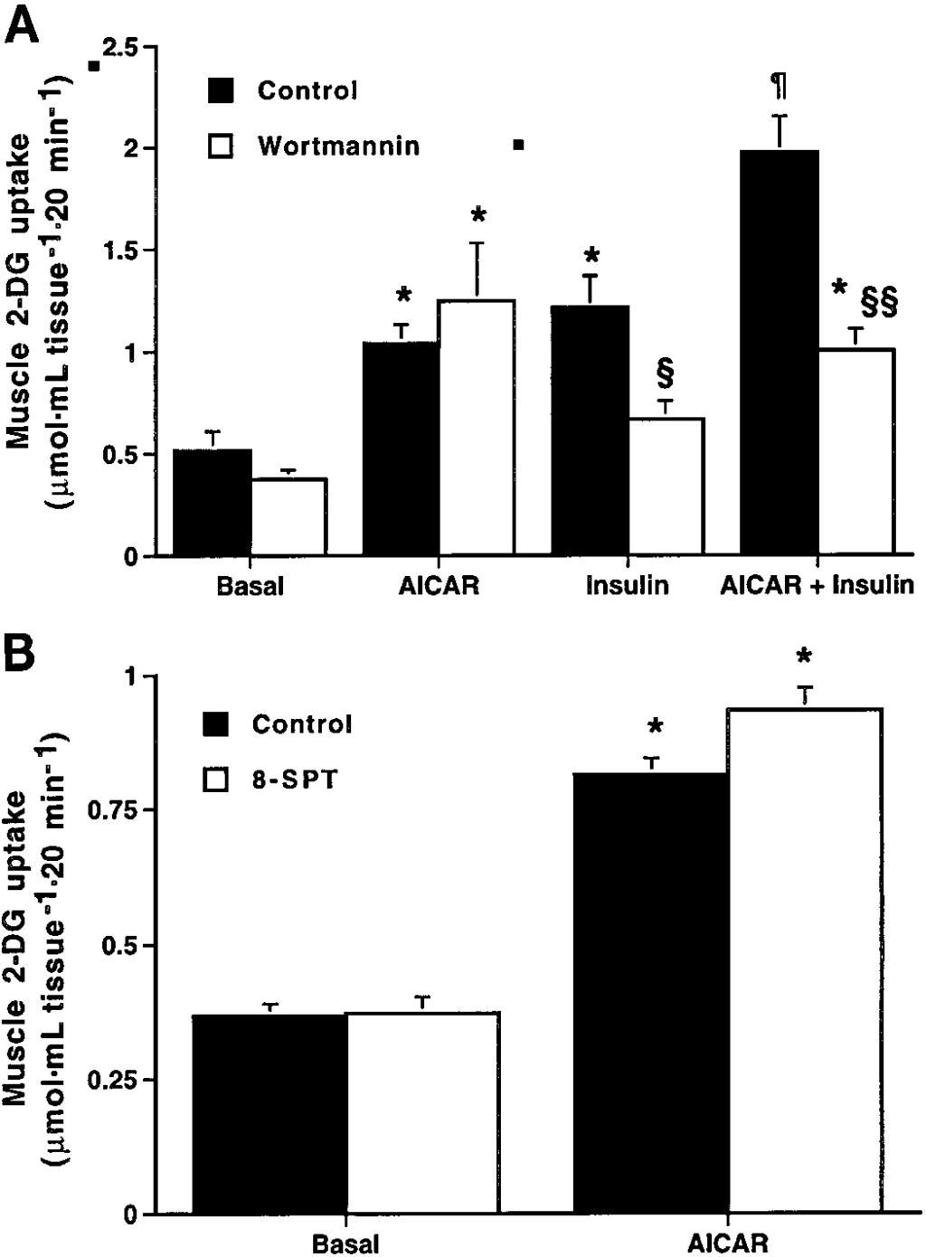 AMPK ACTIVATION STIMULATES GLUCOSE UPTAKE IN VIVO E941 Fig. 2. Effect of AICAR (0.5 mm) and insulin (20 mu/ml) alone or in combination in the presence or absence of wortmannin (1.