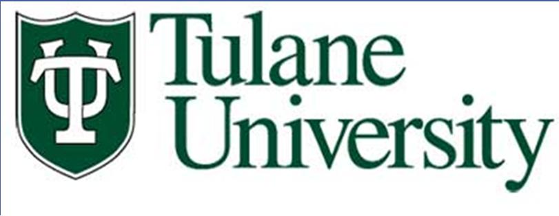 Clinical interventions for trauma-exposed preschoolers Mary Margaret Gleason Tulane University School