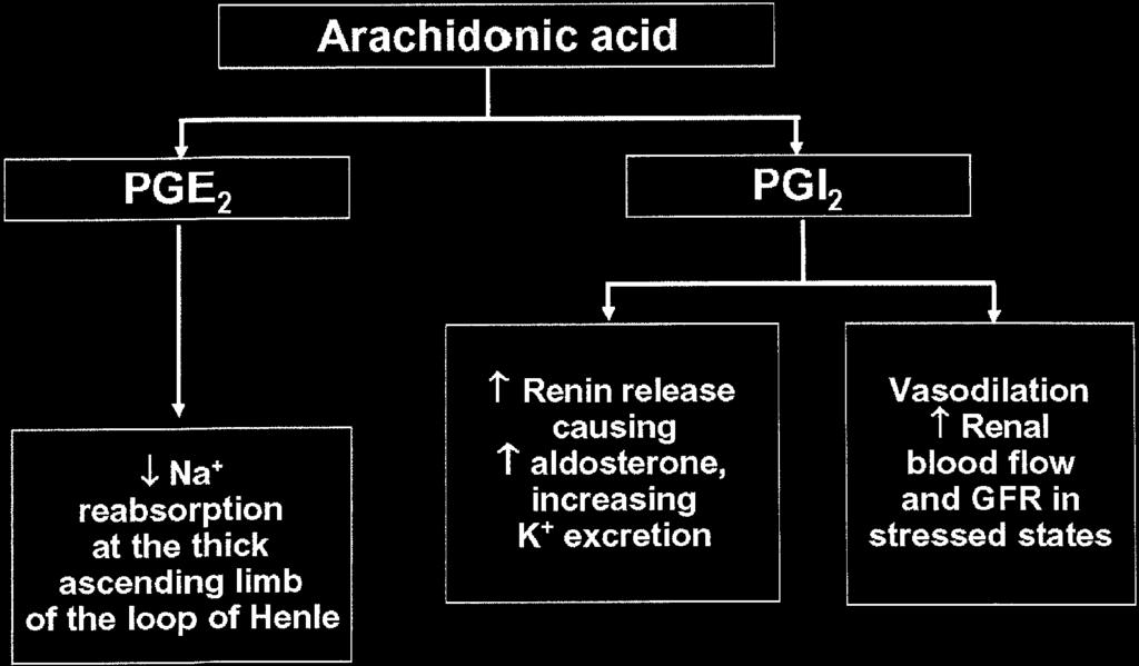 Autacoid prostaglandins have a number of important functions, including protection of the gastric mucosa, maintenance of hemostasis and clotting, and actions upon renal physiology, including