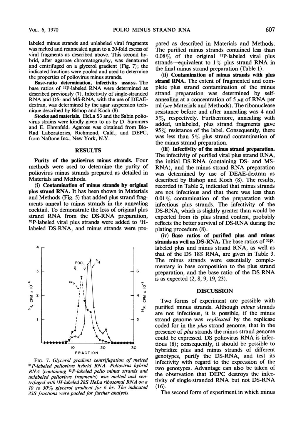 VOL. 6, 197 POLIO MINUS STRAND RNA 67 labeled minus strands and unlabeled viral fragments was melted and reannealed again to a 2-fold excess of viral fragments as described above.