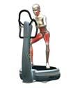 2b) strength in upper leg muscles for the Power-Plate group, the conventional training group, and the control group.
