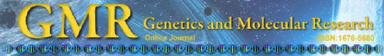 Analysis of GATA1 mutations and leukemogenesis in newborns with Down syndrome L.B. Queiroz 1, B.D. Lima 1, J.F. Mazzeu 2,3, R. Camargo 1, M.S. Córdoba 4, I.Q. Magalhães 5, C. Martins-de-Sá 1 and I.