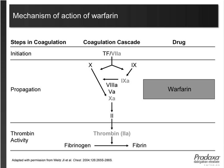 New Agents The problem with warfarin: The Therapeutic Window Stroke vs intracranial bleeding in relation