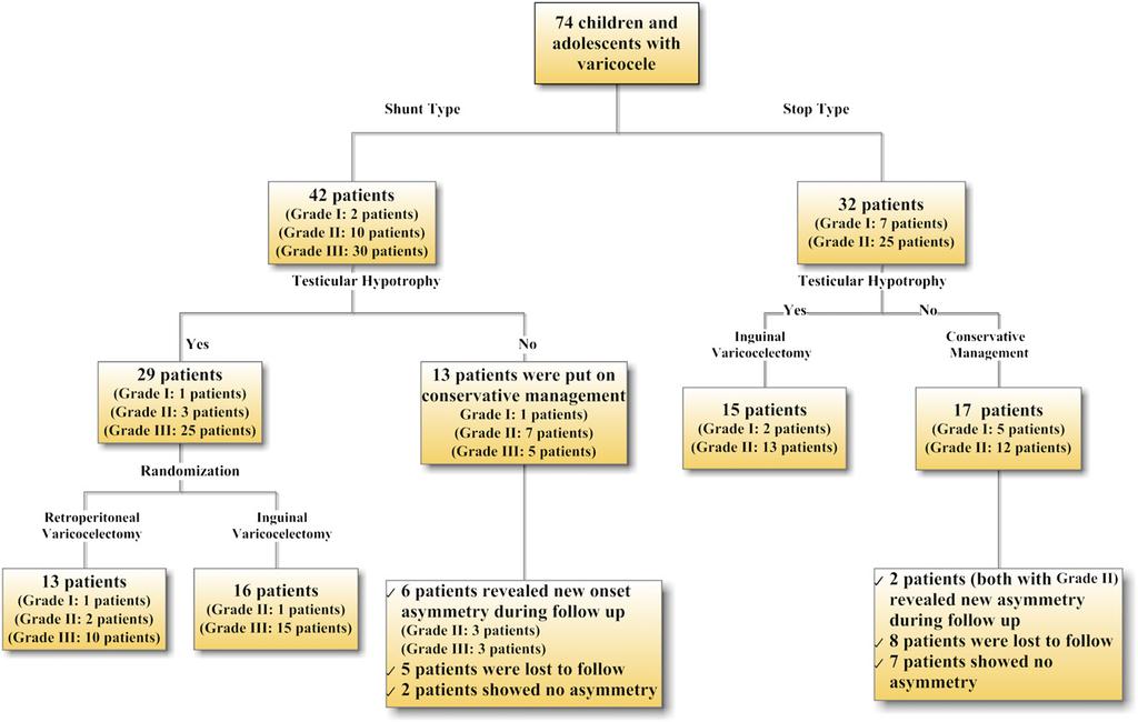 FIGURE 2 Summary of the numbers of patients allocated to each ultimate treatment. approach.