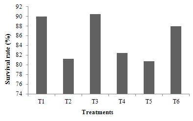 M. Aliniya et al. / Turk. J. Fish. Aquat. Sci. 13: 19-25 (2013) 23 Figure 3. Survival rate in experimental treatments. Figure 4. Larvae length during hatching in experimental treatments. Figure 5.