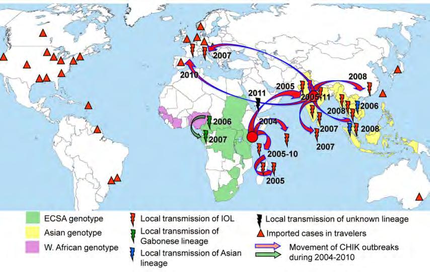 Geography of Chikungunya, 2004-2011 Tomado de: Tsetsarkin K, Chen R, Sherman M and Weaver S.