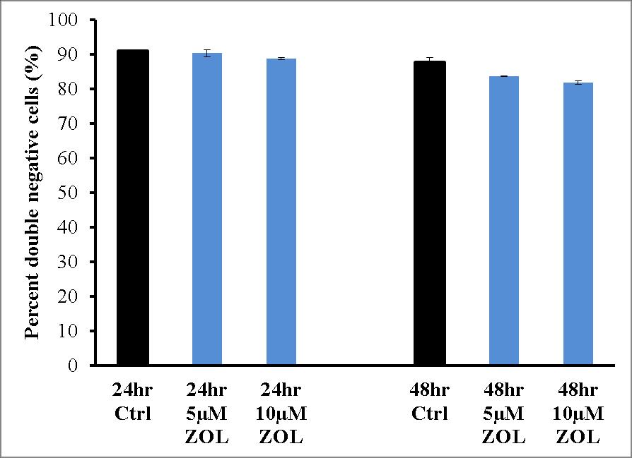 Figure 4.1b. Effect of ZOL treatment on K7M2 cell apoptosis.