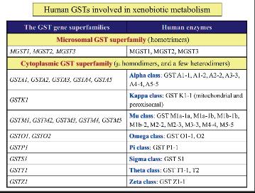 III. Glutathione S-Transferases Two structurally unrelated families of GST:!!MAPEGs: membrane-associated proteins involved in eicosanoid and glutathione metabolism.