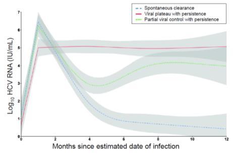 level and the subsequent level 4 months (120 ) n=110 Well-characterized acute HCV infection n=162 High-titre viral plateau with
