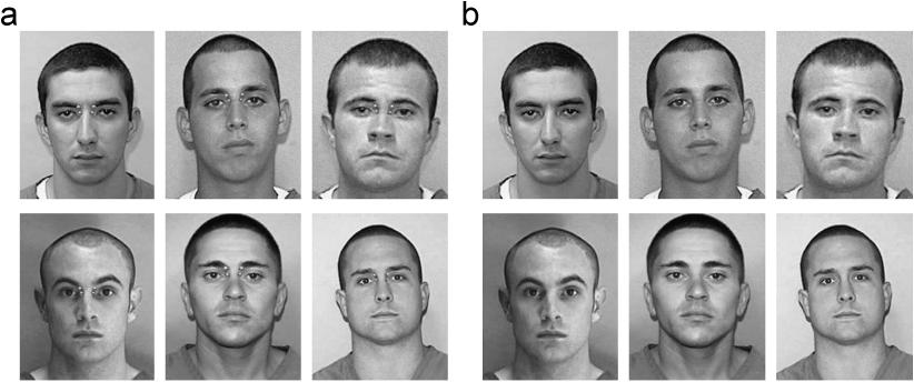 Lineups for Suspects With Distinctive Features Fig. 1.