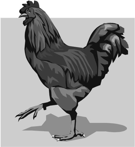Correction for endogenous materials using fasted roosters