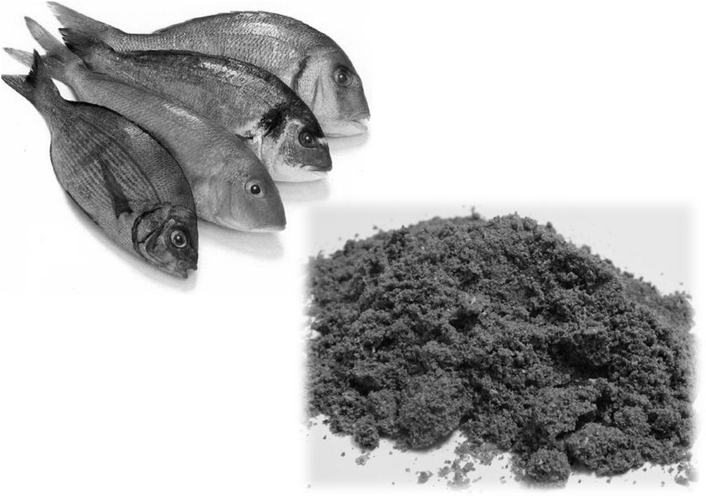Fish Meal 2 main types Fishery waste from human industry Salmon; tuna Fish harvested