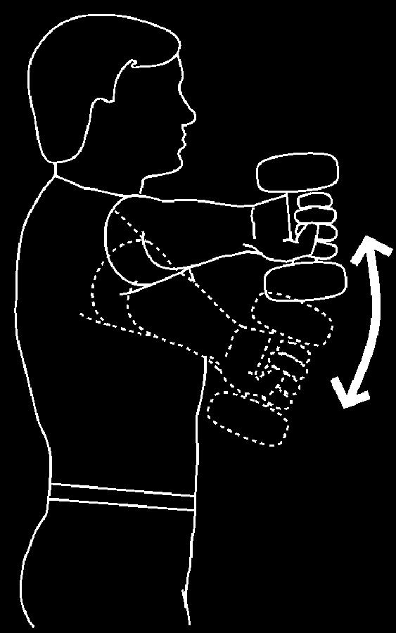 Page: 5 of 6 Resist elbow flx uni w/wt Begin with arm at side, sit or stand, elbow straight, palm up, weight in hand. Bend elbow upward.