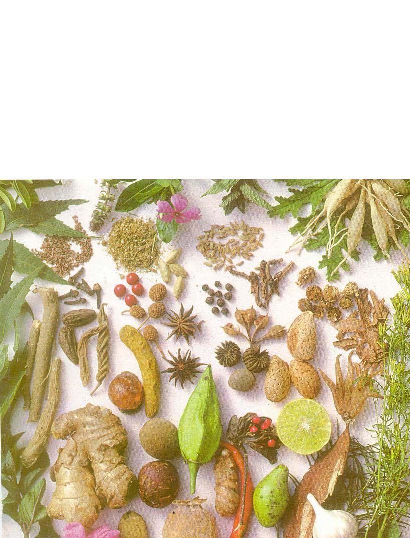 Introduction to Medicinal Plants &