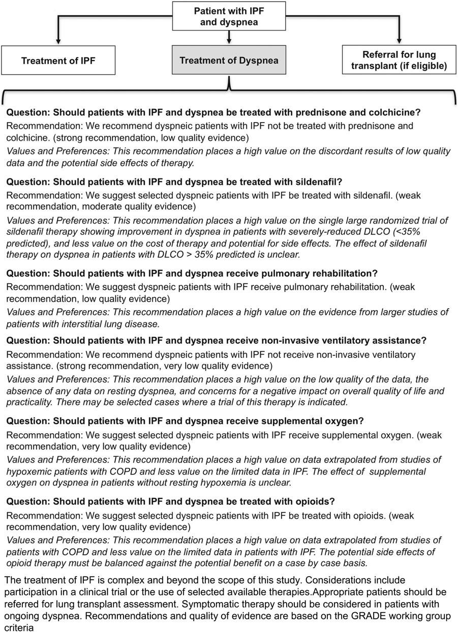 776 Ryerson et al. Vol. 43 No. 4 April 2012 Fig. 2. Treatment considerations for dyspneic patients with IPF.
