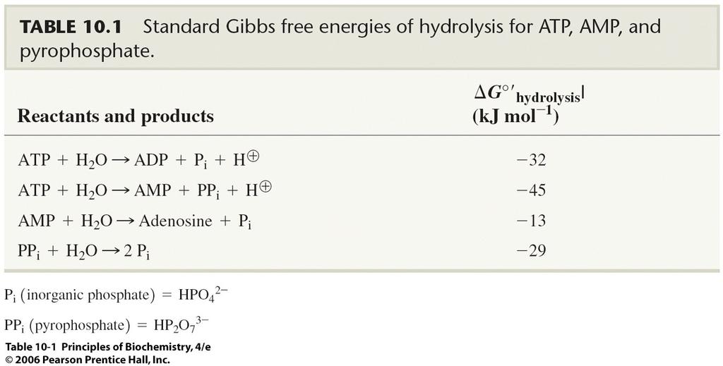 The Glycolytic Reactions There are 10 reactions, which lead from glucose to pyruvate.