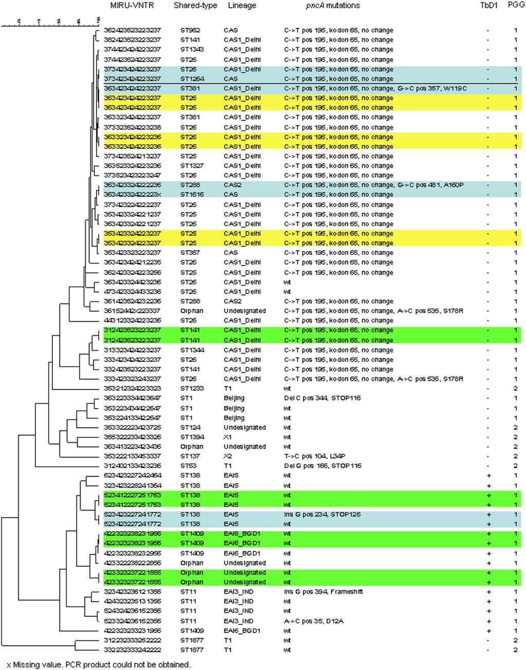 Figure 1. Diversity of 65 M. tuberculosis isolates from New Delhi, India deduced from MIRU-VNTR, spoligotyping and single nucleotide polymorphism analyses.
