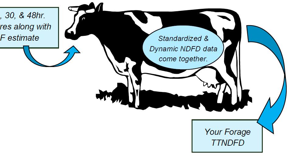 What do Cows have to say? TMR - Fiber - Starch Rumen in vivo NDF = 42.