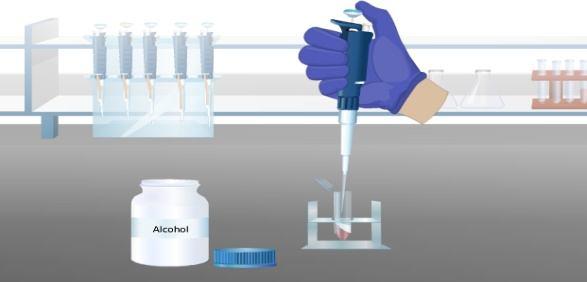 Absolute Alcohol Treatment Pipette out the upper aqueous layer containing RNA without disturbing