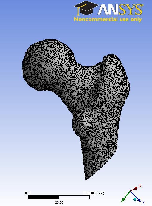 3. MATERIALS AND METHODS 44 50000 respectively. This setting allowed meshing those geometries which could not be meshed by the Patch Conforming algorithm.
