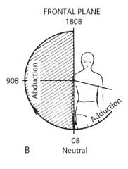 shoulder girdle movement 90 to 95 degrees abduction 0 degrees adduction, 75 degrees anterior to trunk