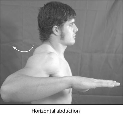 Movements External rotation movement of humerus laterally around its long axis away from