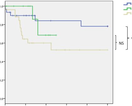 05 Figure 1 Comparison of Kaplan-Meier curves of event-free survival probability from diagnosis to 15 years follow-up in the patients with, closed-shunt associated with PAH and other causes of PH.