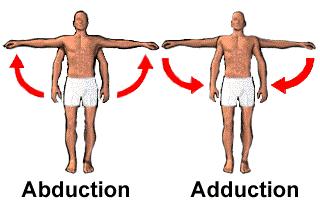 Abduction moving away from the midline of the body or body