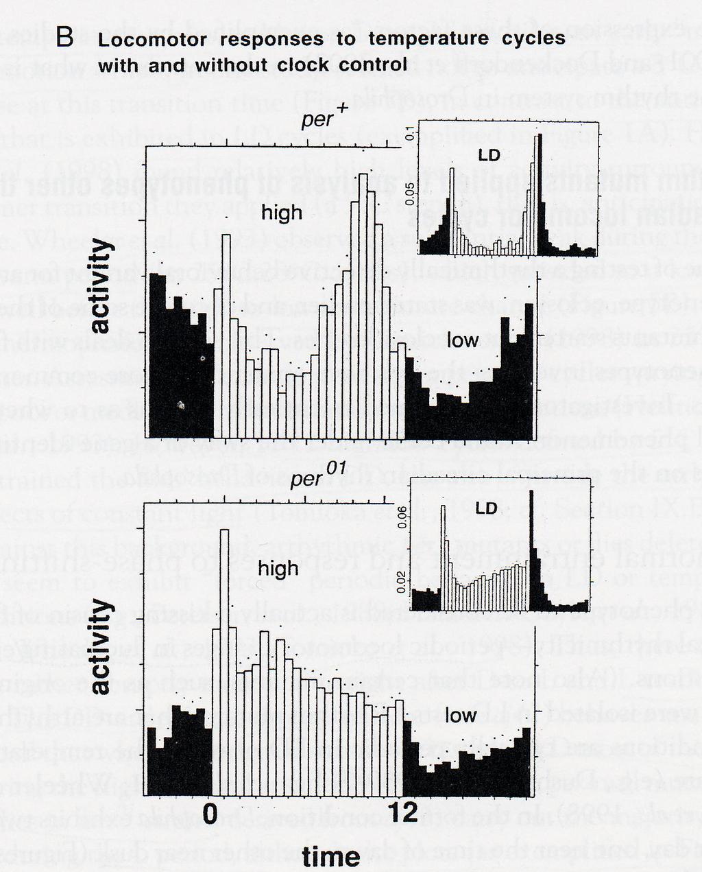 Temperature input T information: perceived from periphery by the chordotonal organ, stretch of