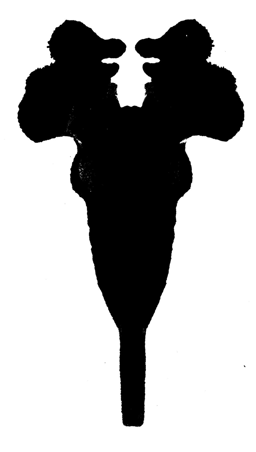 Types of Projective Tests Rorschach Inkblot Test: most widely used projective test,