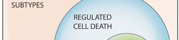 Cell death modalities today Regulated cell death cell death occuring by