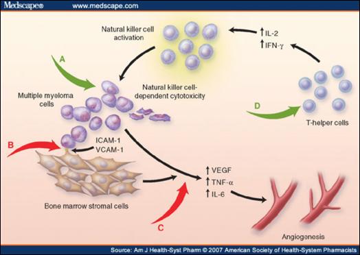 CLL Therapy: