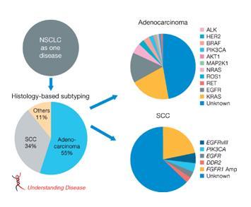 History of Diagnosis and Classification Changes in Tumor Classification Source: Genotyping and Genomic Profiling of Non Small-Cell Lung
