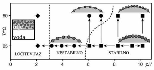 interakcije med oljno fazo in protoniranimi stabilizatorji (delci).