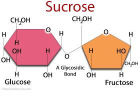 Name of Disacchari de Derivation of Name Source Ring Formula SUCROSE (glucose + fructose) French word Sucre - sugar Table sugar, cane sugar, beet sugar