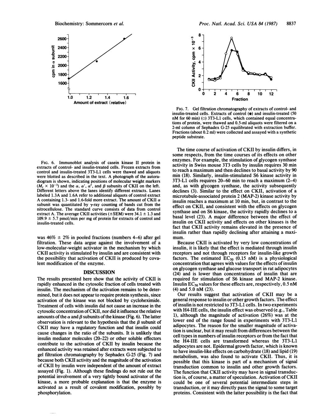 26- F 24-. 3 22- co rr -b IX -~ 16-43- 25.7- Biochemistry: Sommercorn et al. c 2- E - - 18-1. 1.2 1.4 1.6 Amount of extract (relative) Control Insulin 1.6A 1.3A A B C A B C FIG. 6.