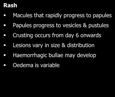 HZO Rash Rash Macules that rapidly progress to papules Papules progress to vesicles & pustules
