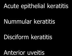 Nummular keratitis 7. Disciform keratitis 8.
