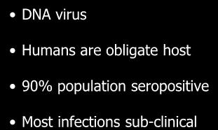 Herpes Simplex Virus DNA virus Humans are obligate host 90%