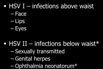 virus HSV I infections above waist Face Lips Eyes HSV II infections
